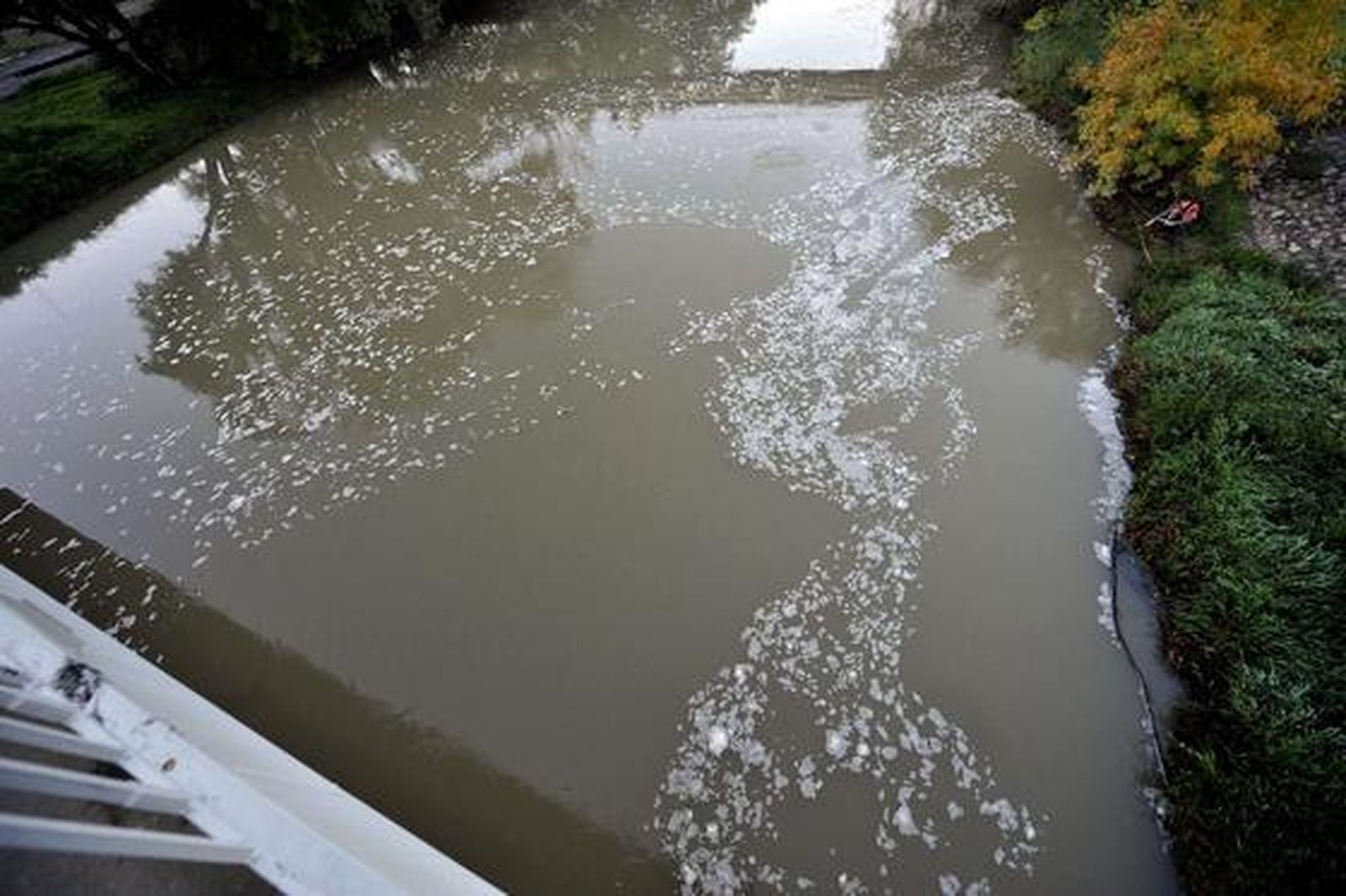 Foto: EFE / AFP / Reuters