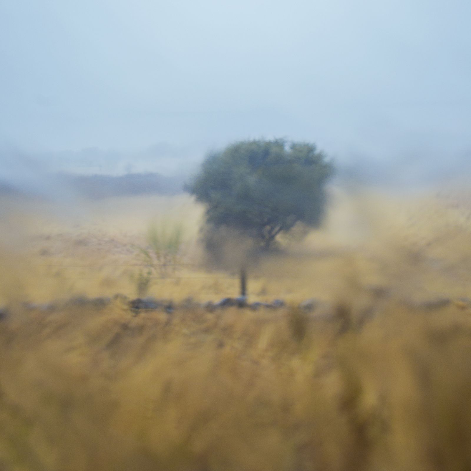 Las obras tienen como hilo conductor un viaje a Extremadura llevado a cabo en 2018