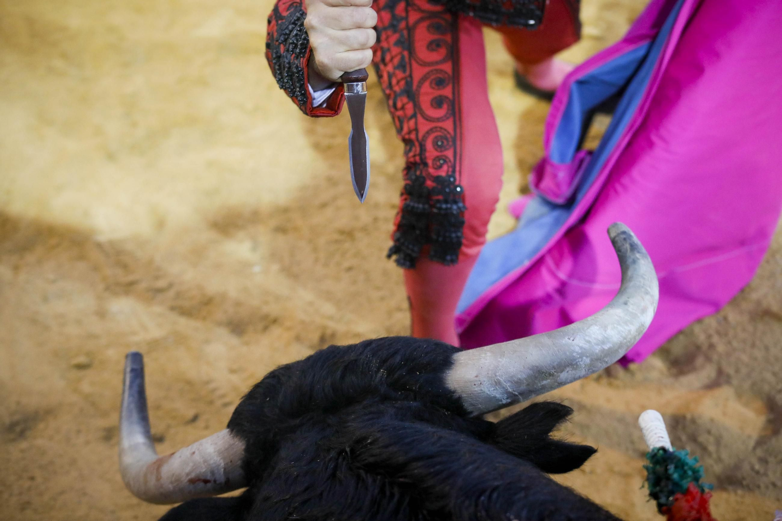 Corrida de toros Berja con un toro indultado, en imágenes