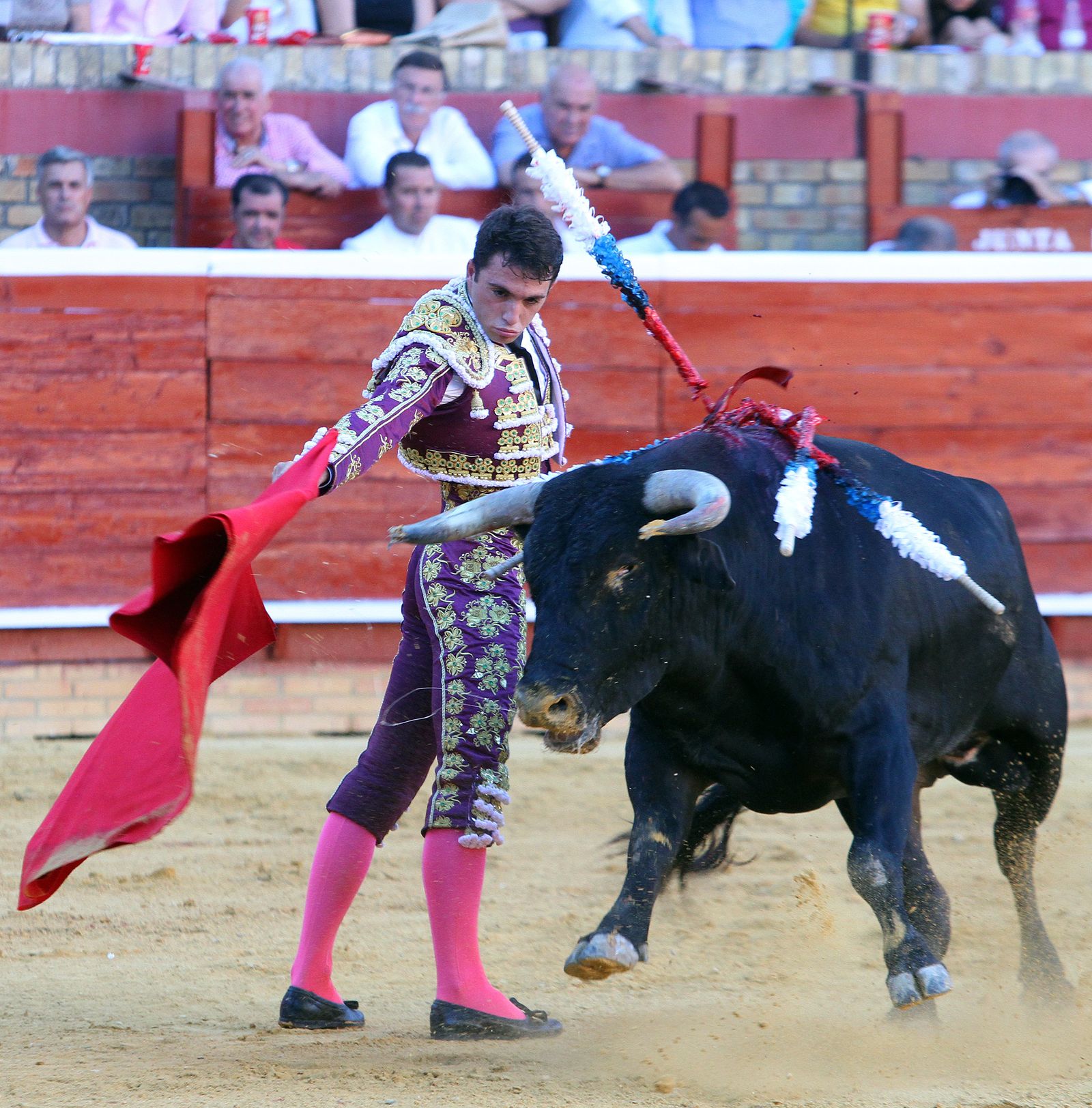 Imágenes de la Novillada de Rafael Serna, Emilio Silvera y Rodrigo Molina.