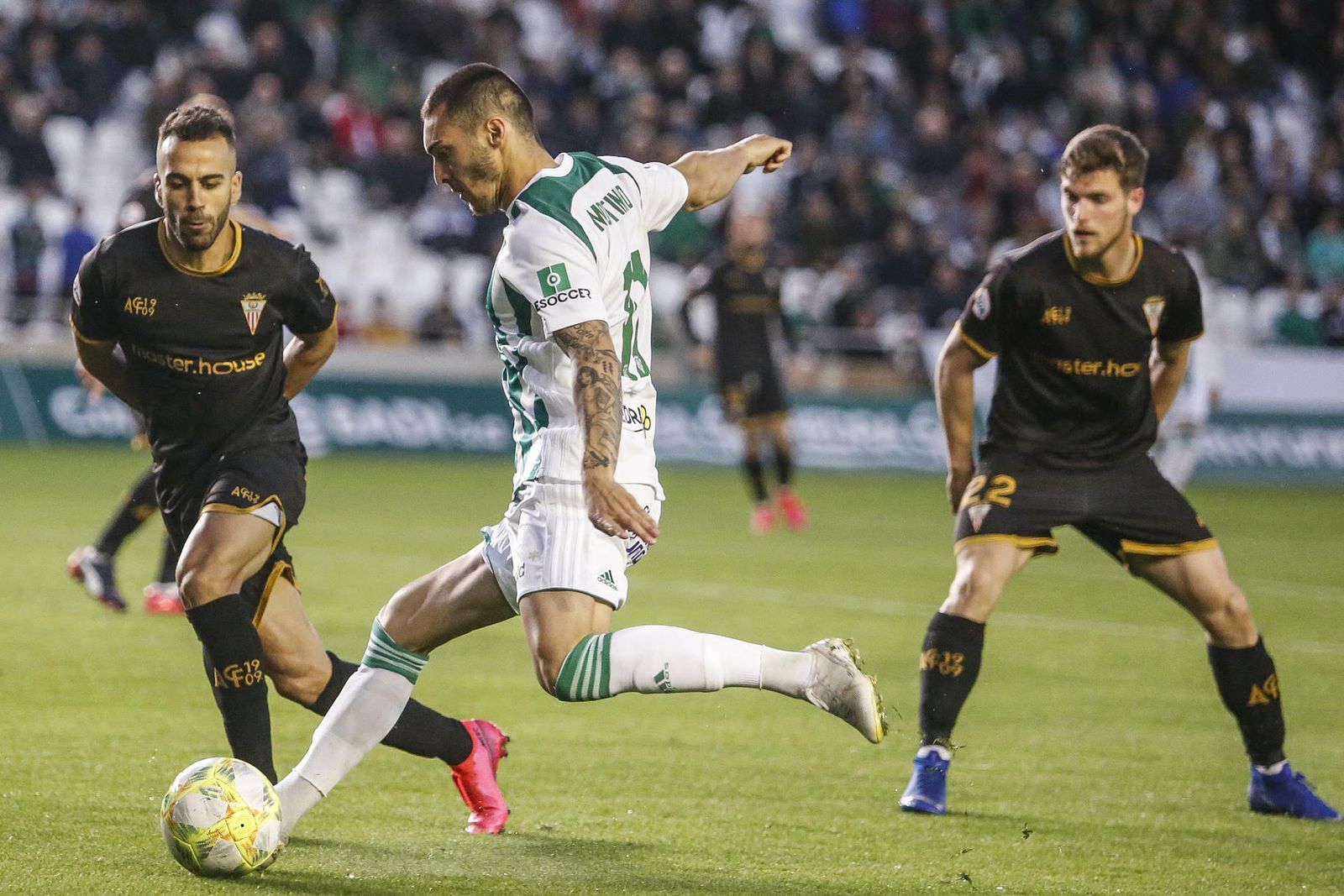 Las mejores fotos del Córdoba - Algeciras