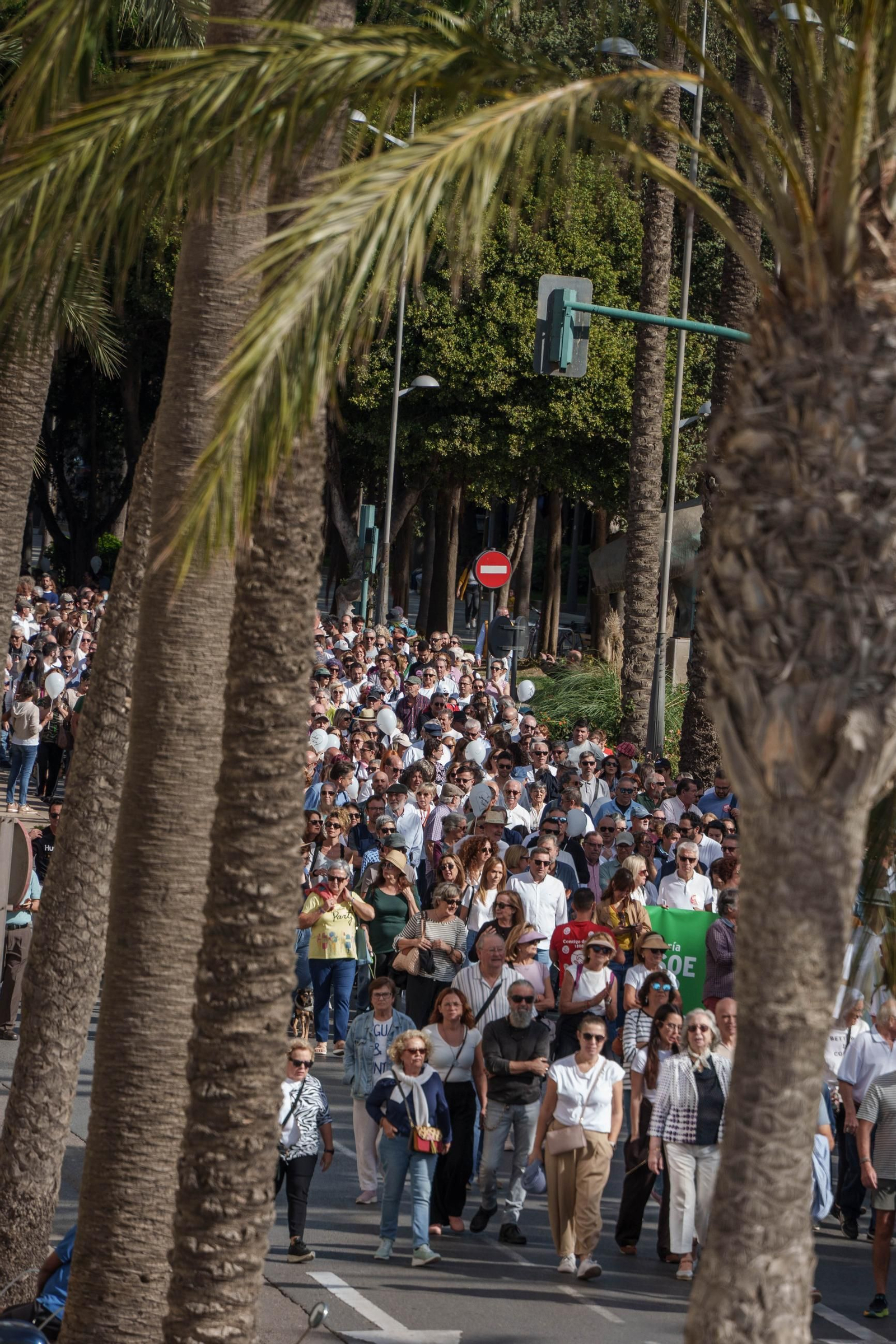 "La sanidad se defiende, gobierne quien gobierne", Almería se lanza a las calles por la sanidad pública