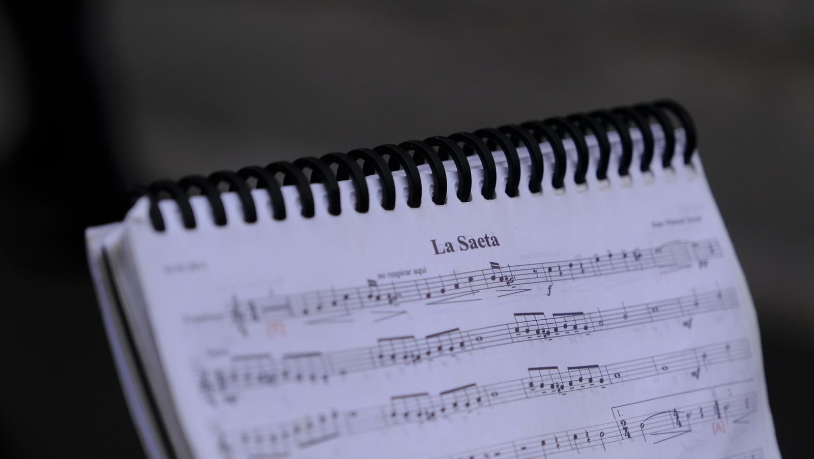 La Borriquita en la Semana Santa de Almería 2025, en imágenes