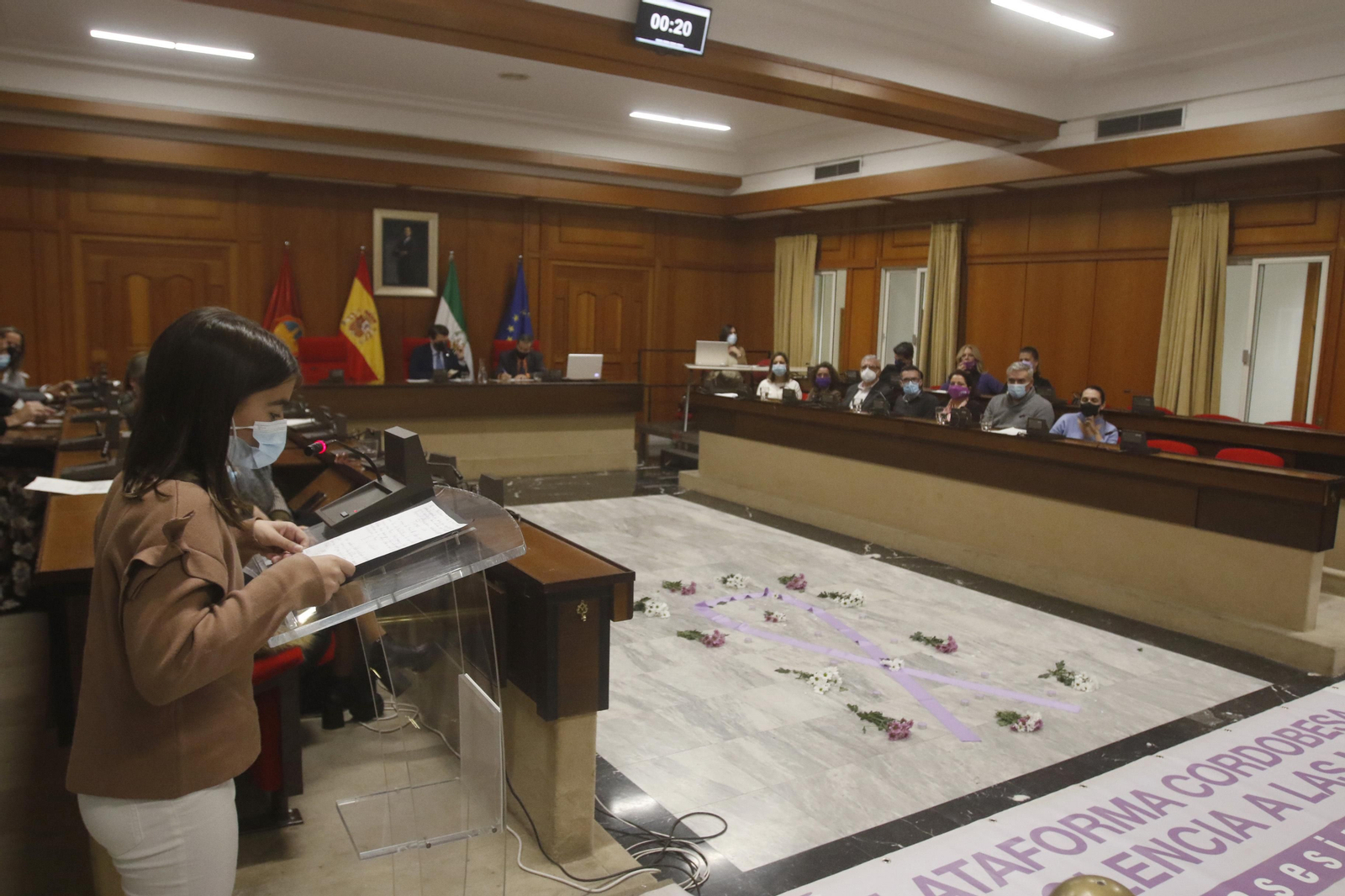 Pleno extraordinario por el Día Internacional de la Eliminación de la Violencia contra la Mujer.