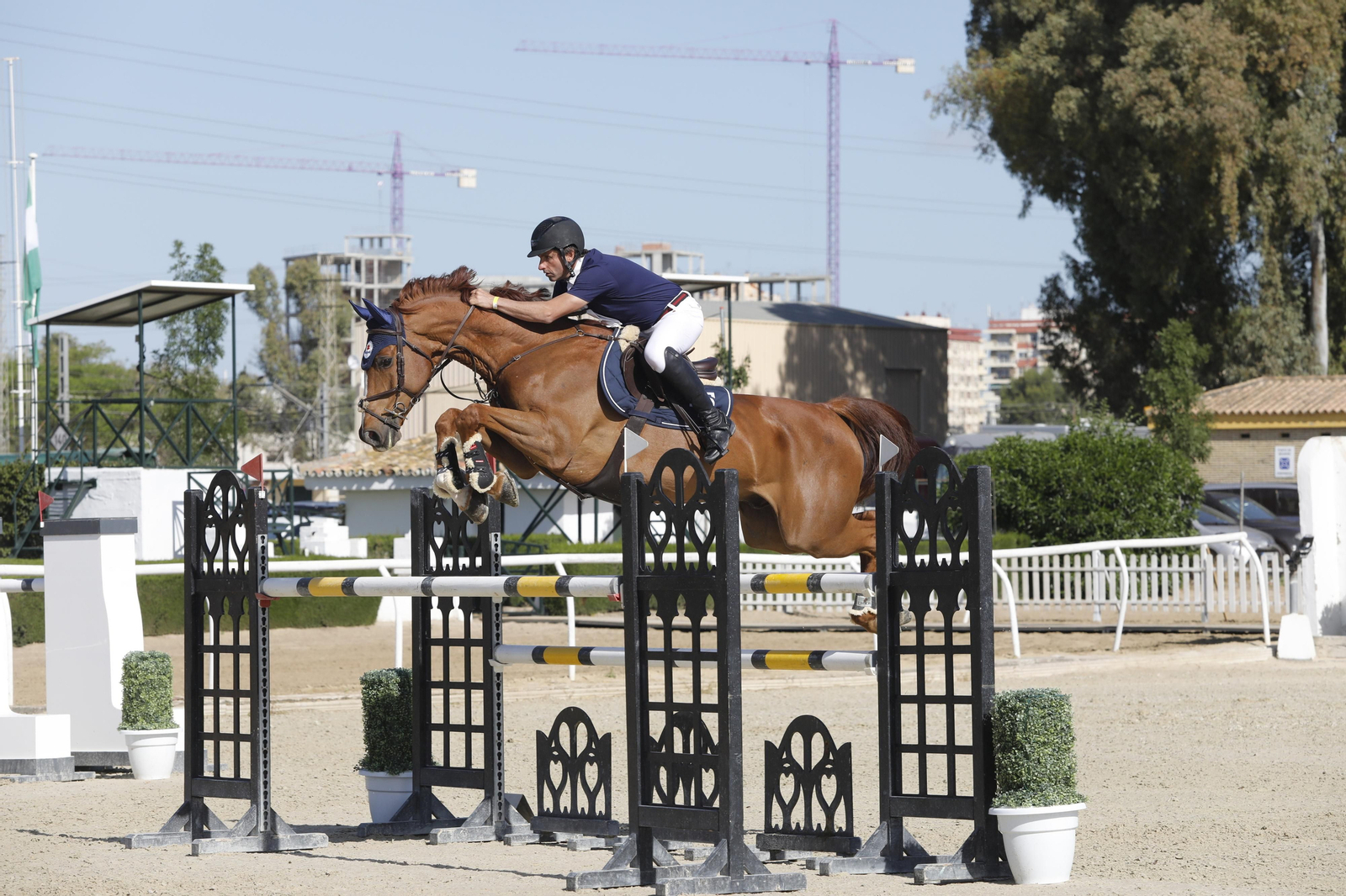 Iván Serrano, con 'Rain Man', vencedor de la prueba grande en el CSN5.