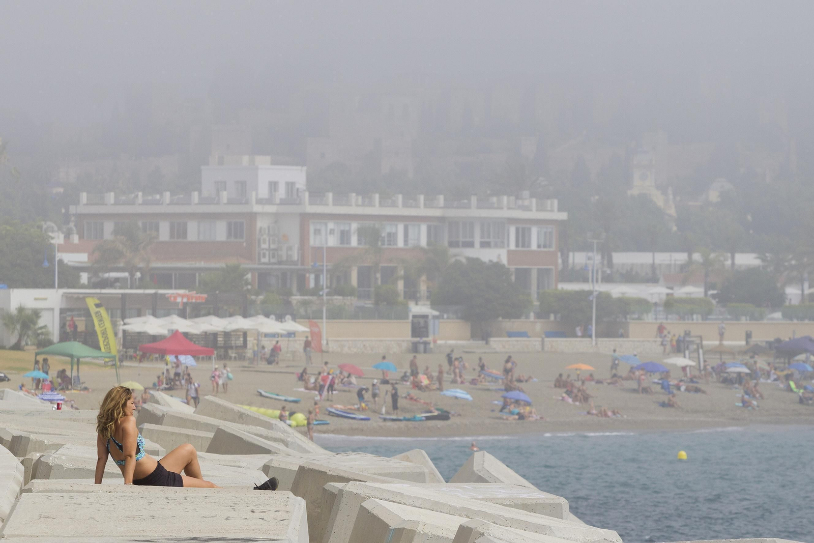 El taró provoca la prohibición del baño en las playas de Málaga, en imágenes