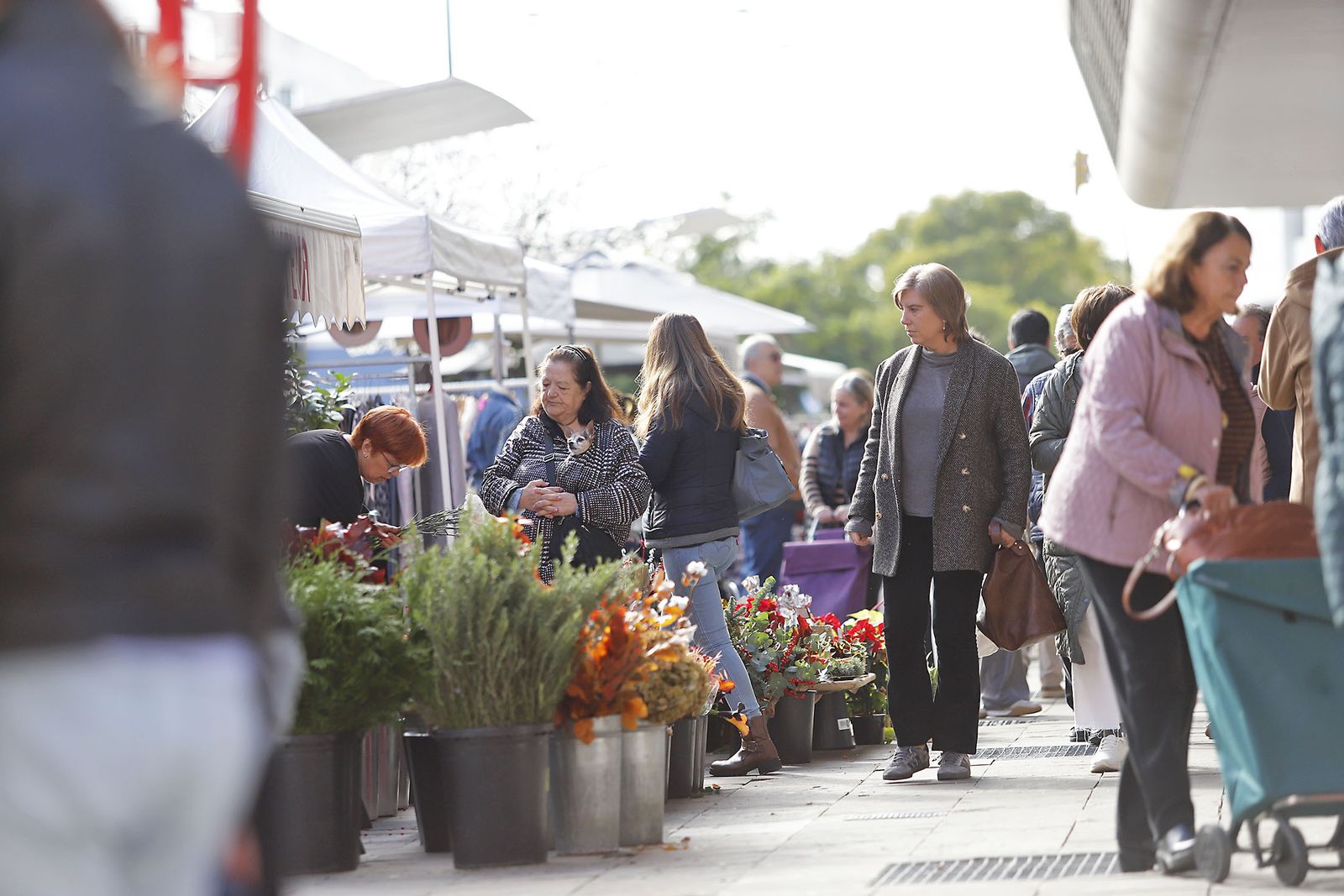 Imágenes del ambiente en el zoco del Mercado del Carmen