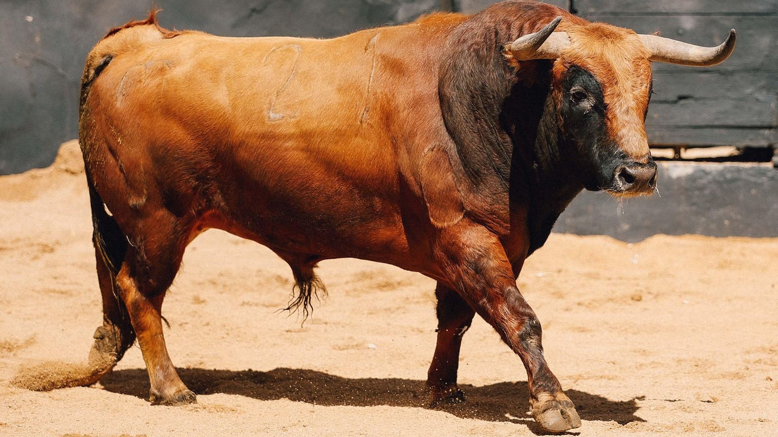 Tercero de la tarde.