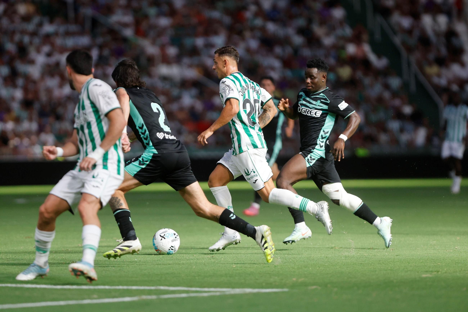 Las fotos del Córdoba - Betis