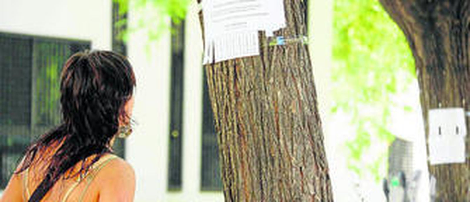 Una joven se interesa por un cartel de alquiler de habitaciones.