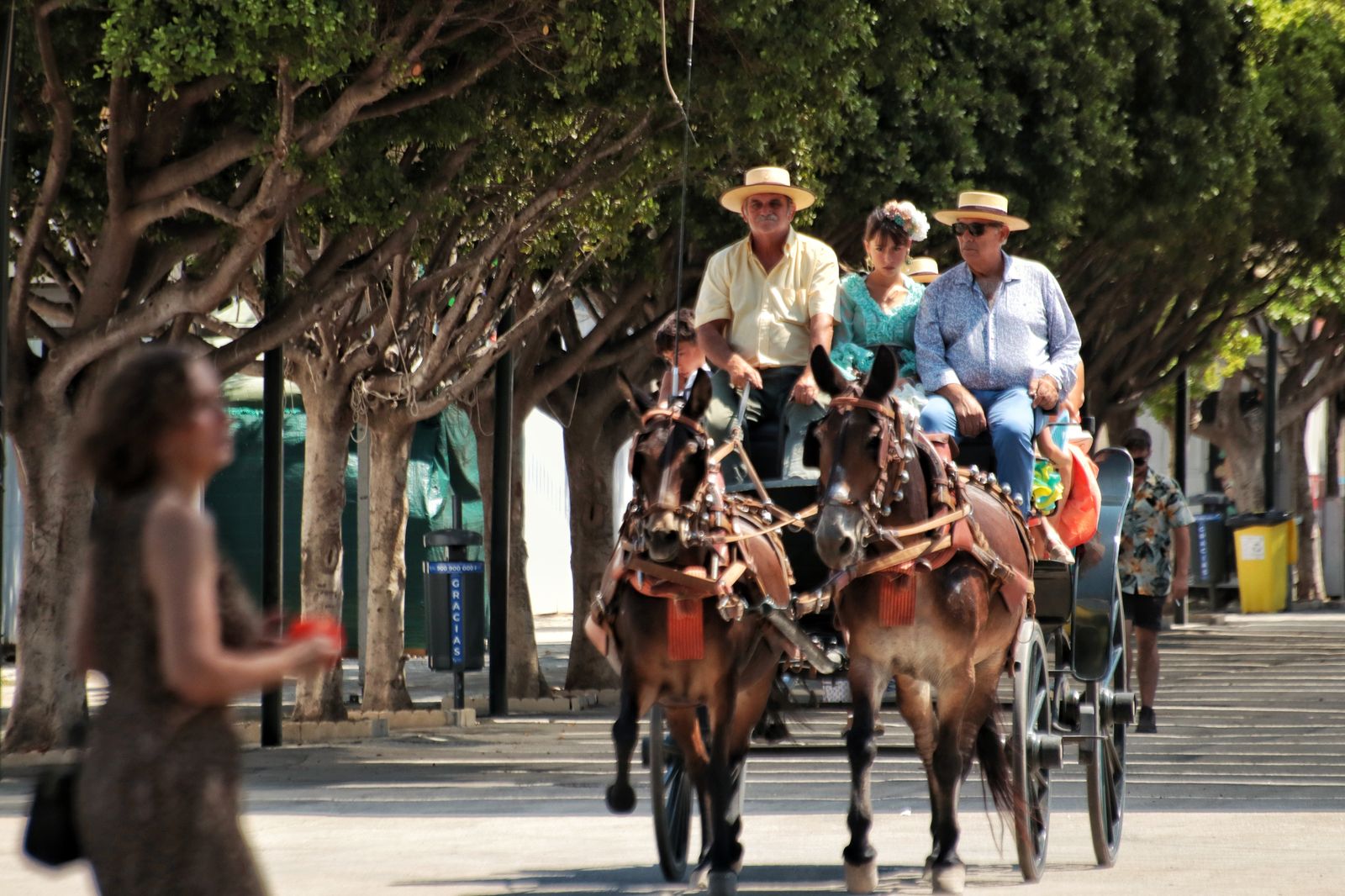 Feria de Málaga: las mejores imágenes de la fiesta en el Real este jueves