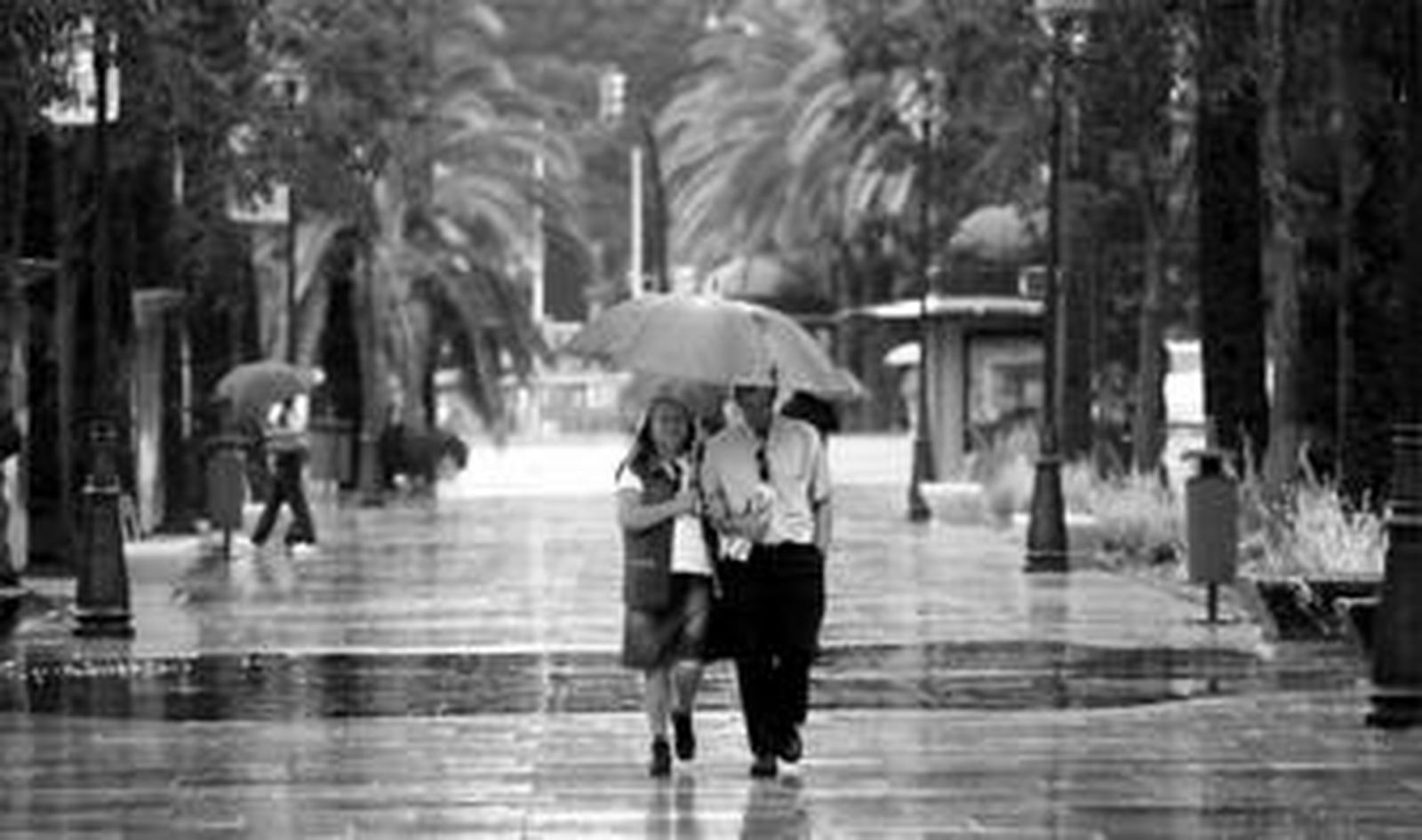 Ciertos cánticos religiosos dan gracias a Dios por la lluvia que hace crecer los árboles; algunos promotores son aliados del diablo.