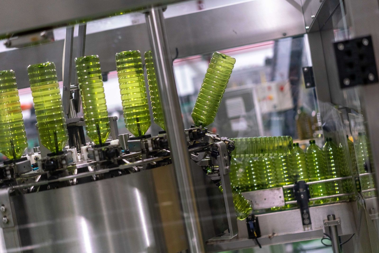 Envasadora de aceite de oliva