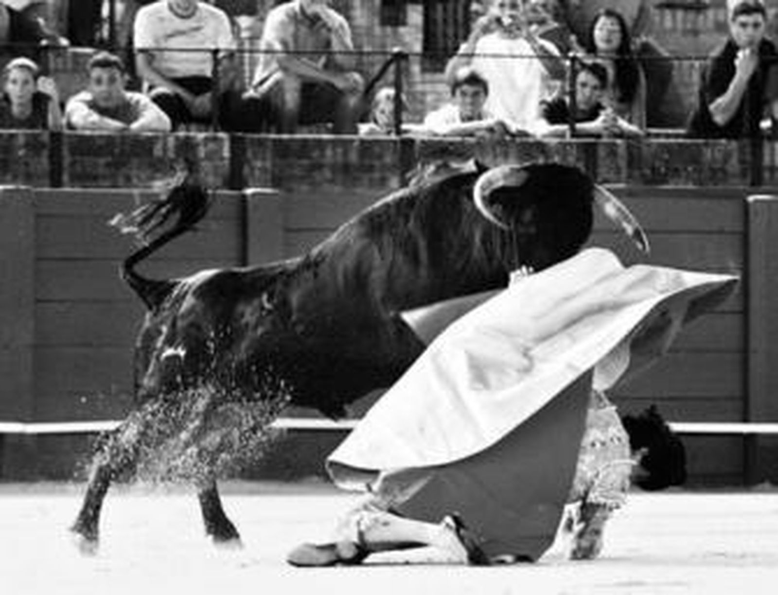 Juan del Álamo abrió su actuación con esta arriesgadísima larga cambiada de rodillas a portagayola.