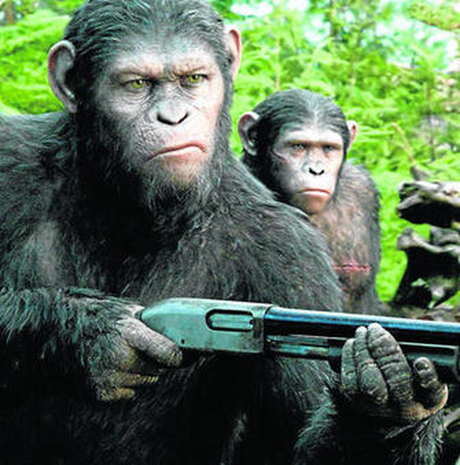 El simio César, al que da vida un estremecedor Andy Serkis.