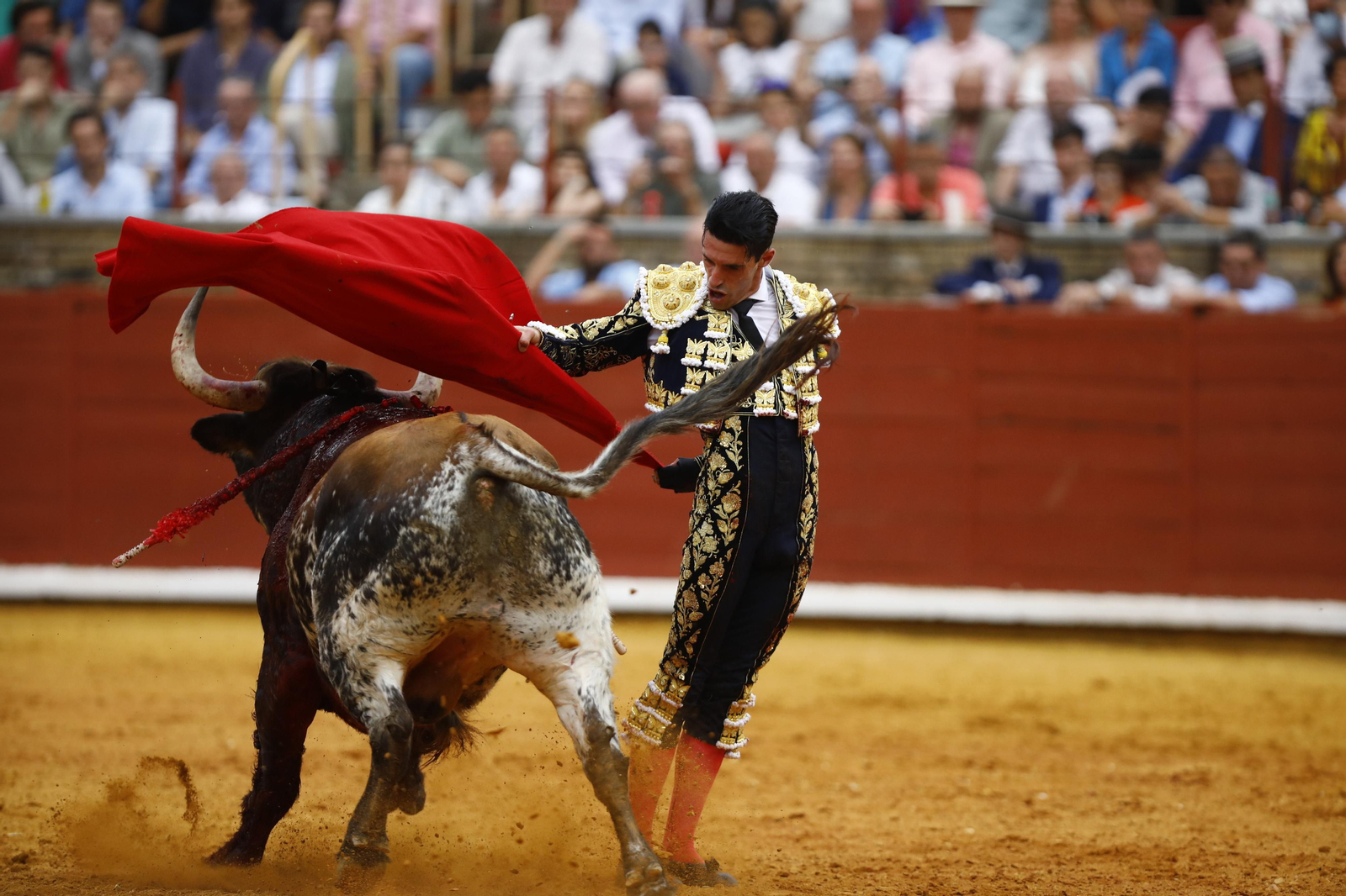 La corrida de Talavante, Roca Rey y Lagartijo, en Córdoba, en imágenes