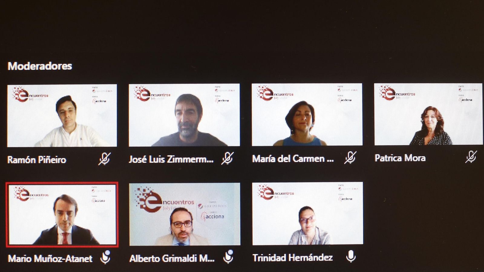 Imagen de los participantes en un momento del encuentro digital.