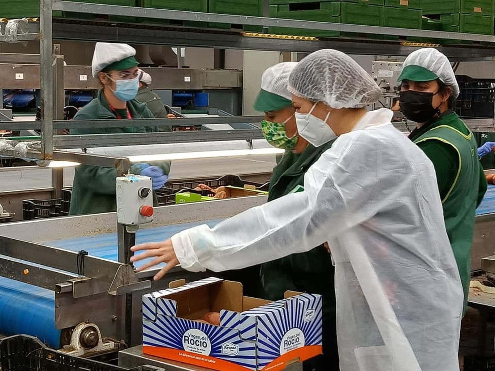 Trabajadoras de la cooperativa Virgen del Rocío en las instalaciones de esta entidad agraria de Sanlúcar.