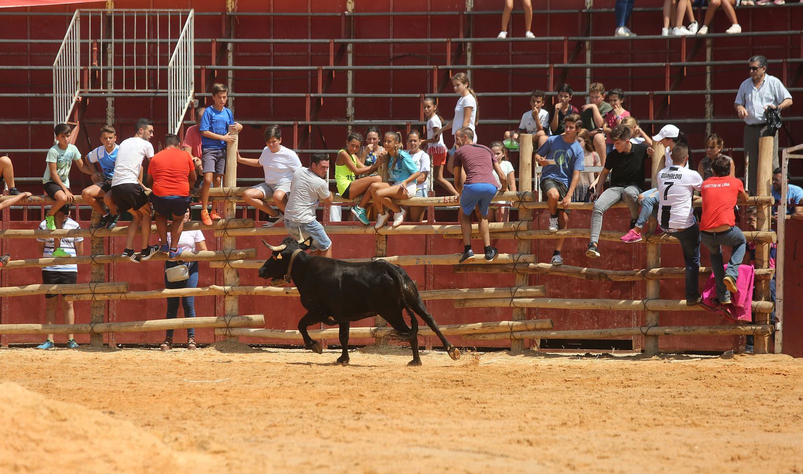 Capeas de Trigueros en imágenes