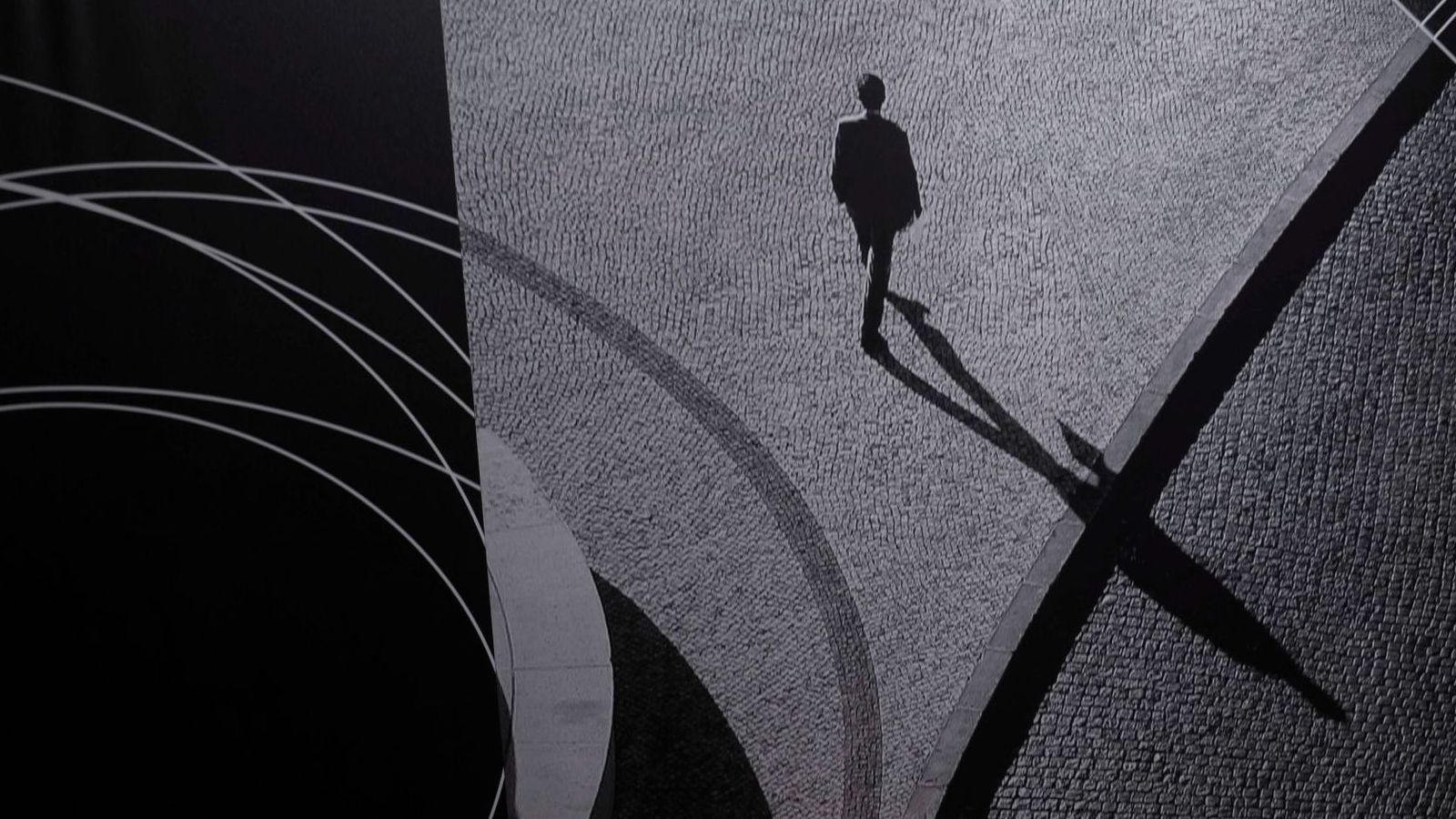 Recorte del cuadro el susurro de la sombra.