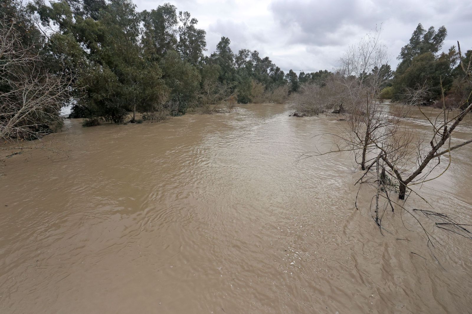 El Guadalete comienza a bajar su nivel poco a poco por la zona rural de Jerez