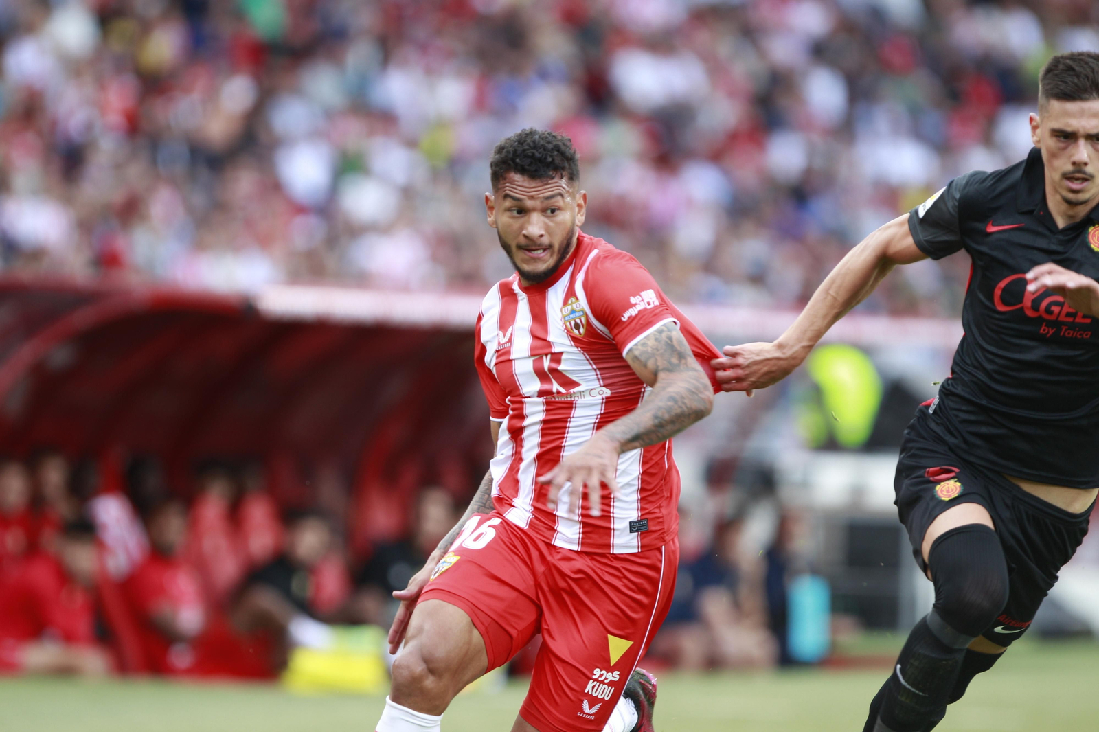 Imágenes del partido U.D. Almería-R.C.D. Mallorca