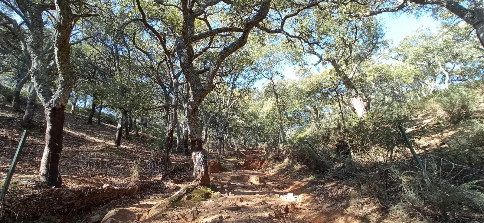 Fotos de la Ruta circular Aracena-Linares de la Sierra-Aracena