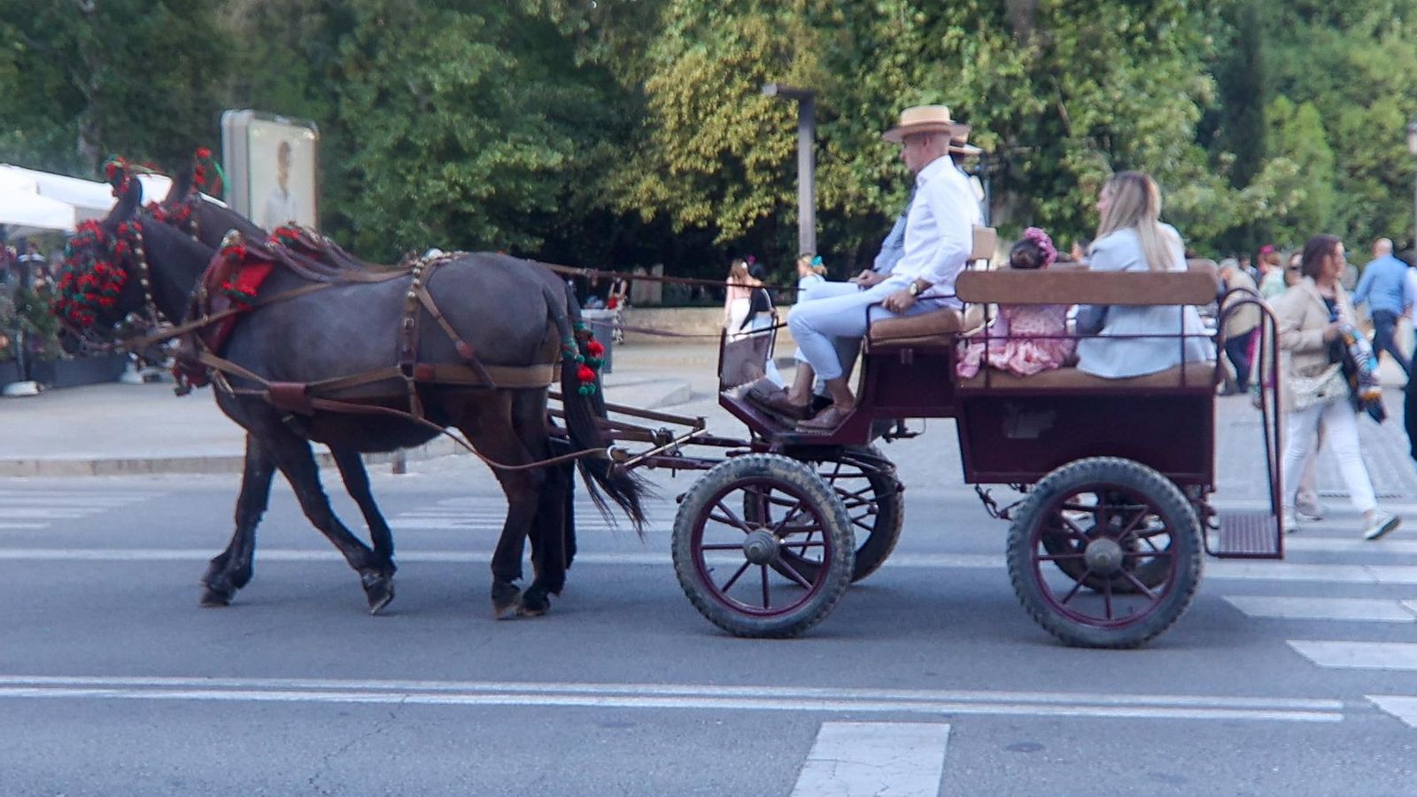 Encuéntrate en la mejores fotos del Día de la Cruz de Granada