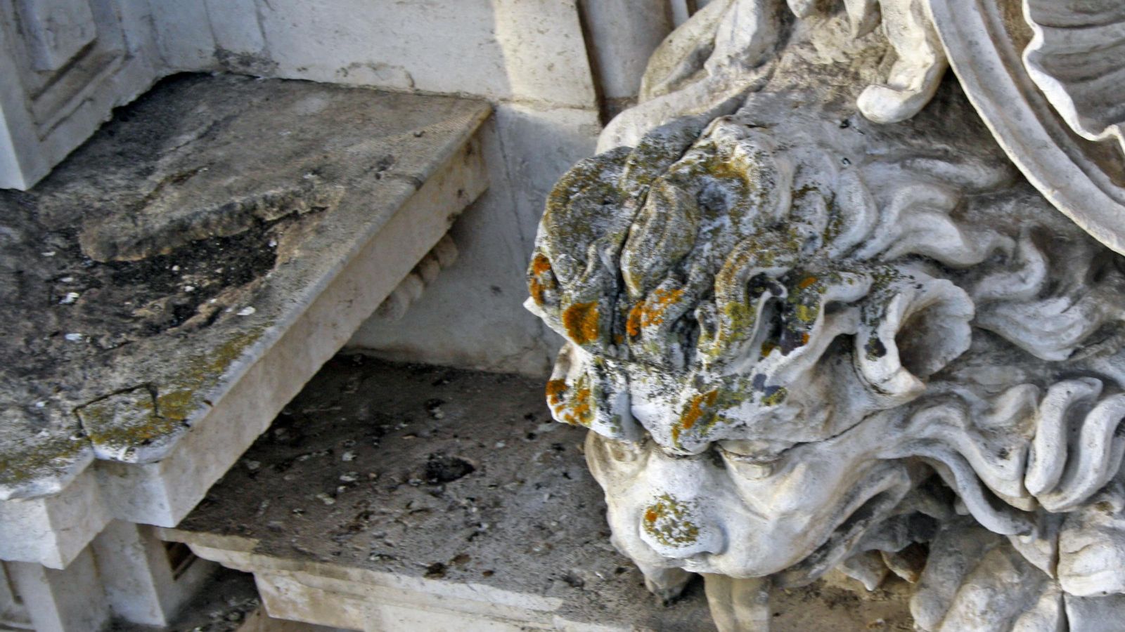 Suciedad, biofilm y excrementos de aves.