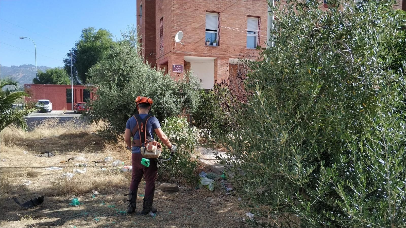 Actividad de jardinería del Proyecto Puente.