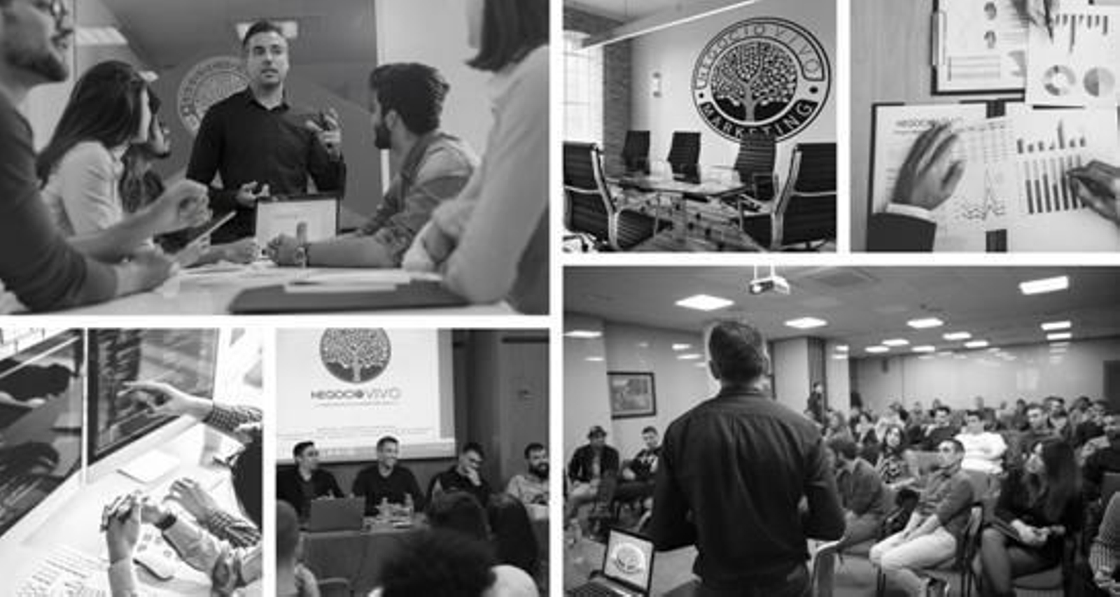 Negocio Vivo, la agencia de Marketing Malagueña que está revolucionando el marketing digital