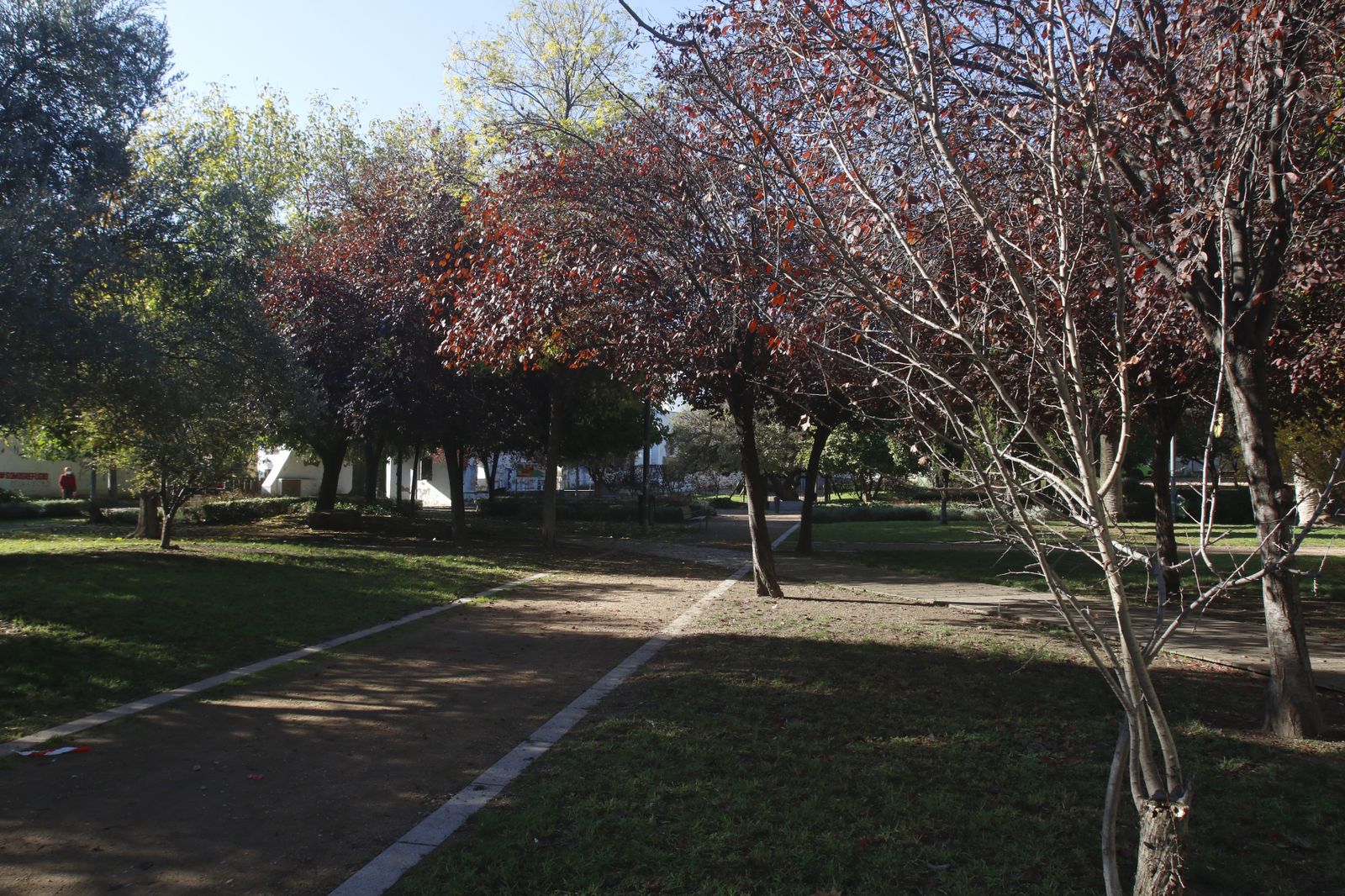 El otoño en Córdoba, en fotografías