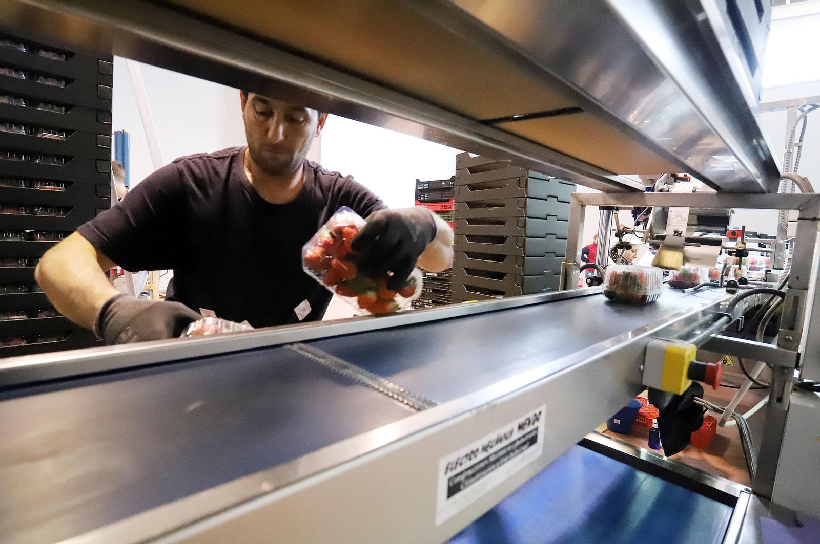 Imágenes de la realidad del trabajo en el campo