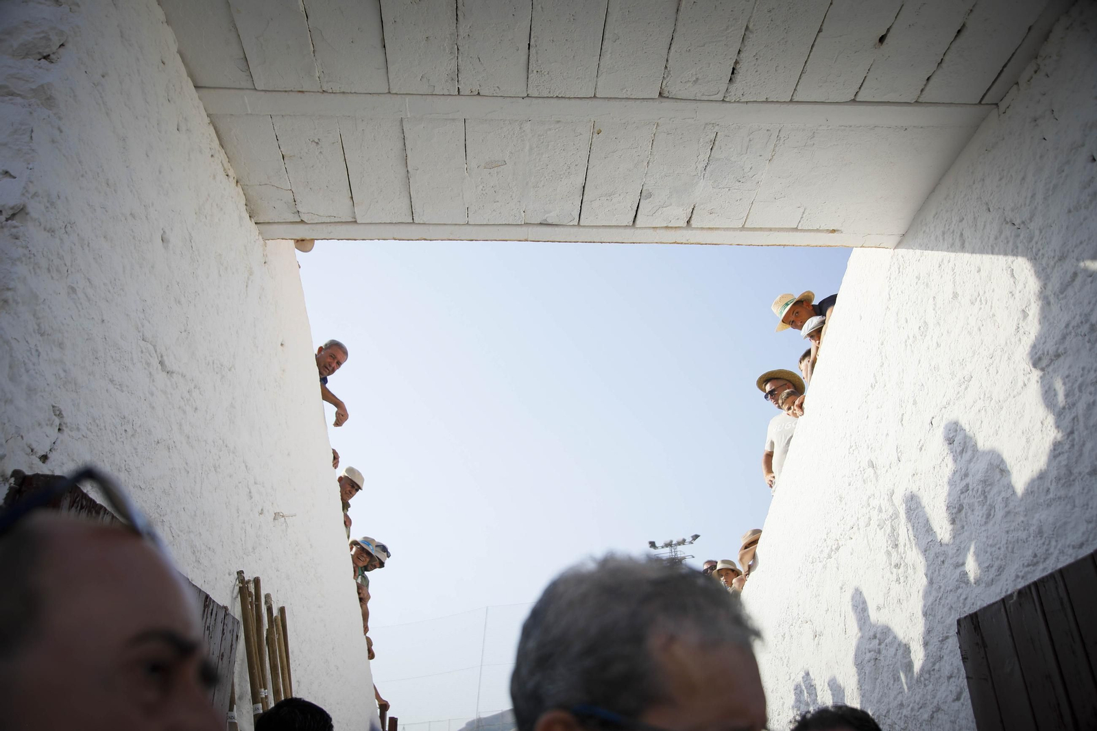 Corrida de toros Berja con un toro indultado, en imágenes