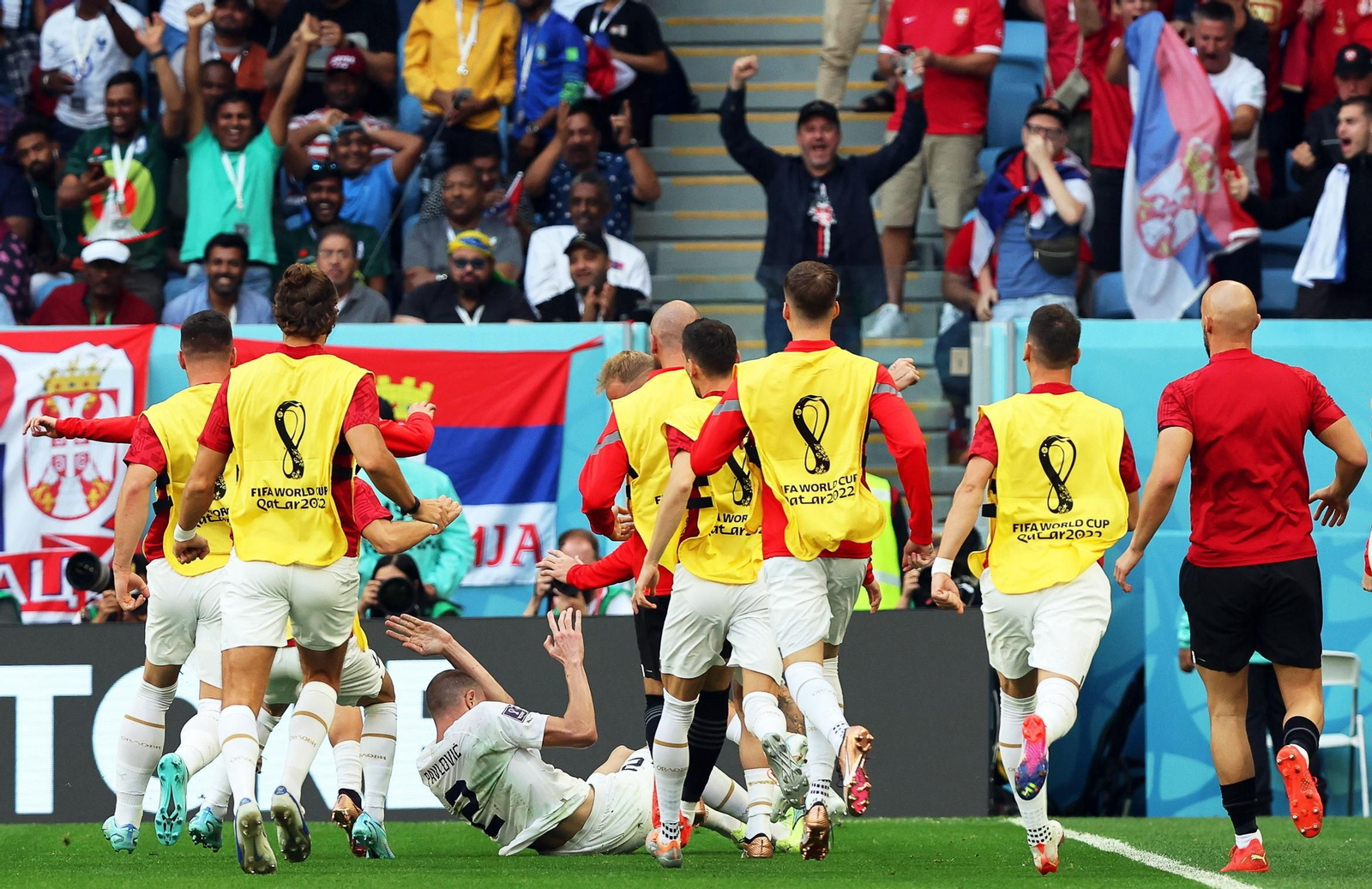 Las imágenes del Camerún - Serbia