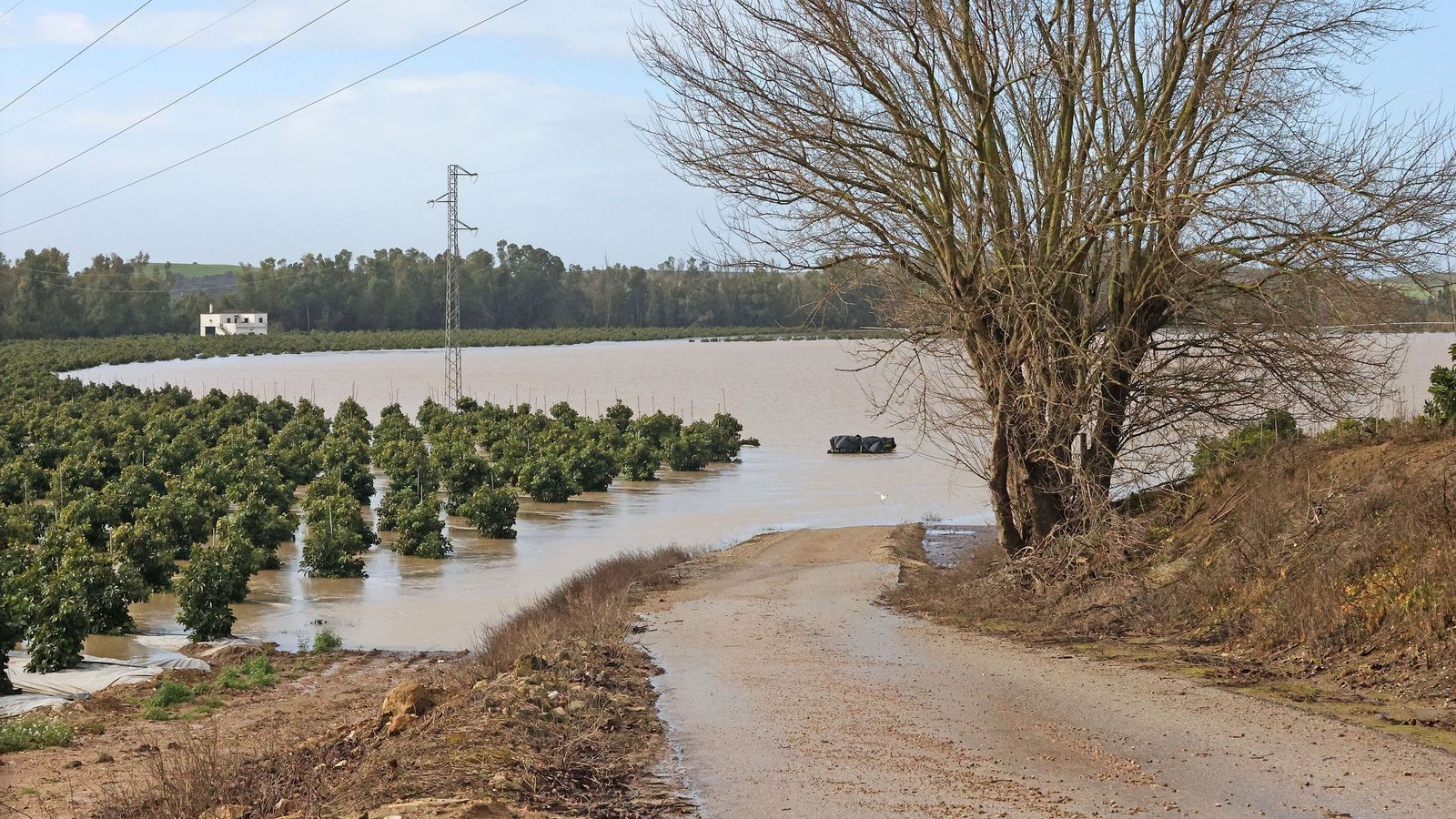 Así afronta la zona rural de Jerez la subida del río Guadalete