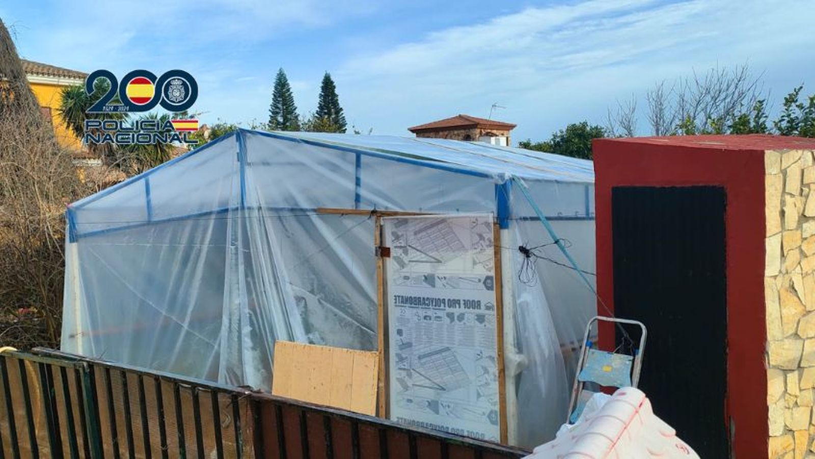 Plantación de marihuana en El Puerto.