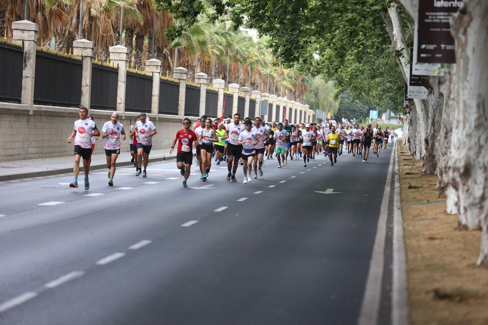 Las mejores fotos de la Carrera Ponle Freno en Málaga