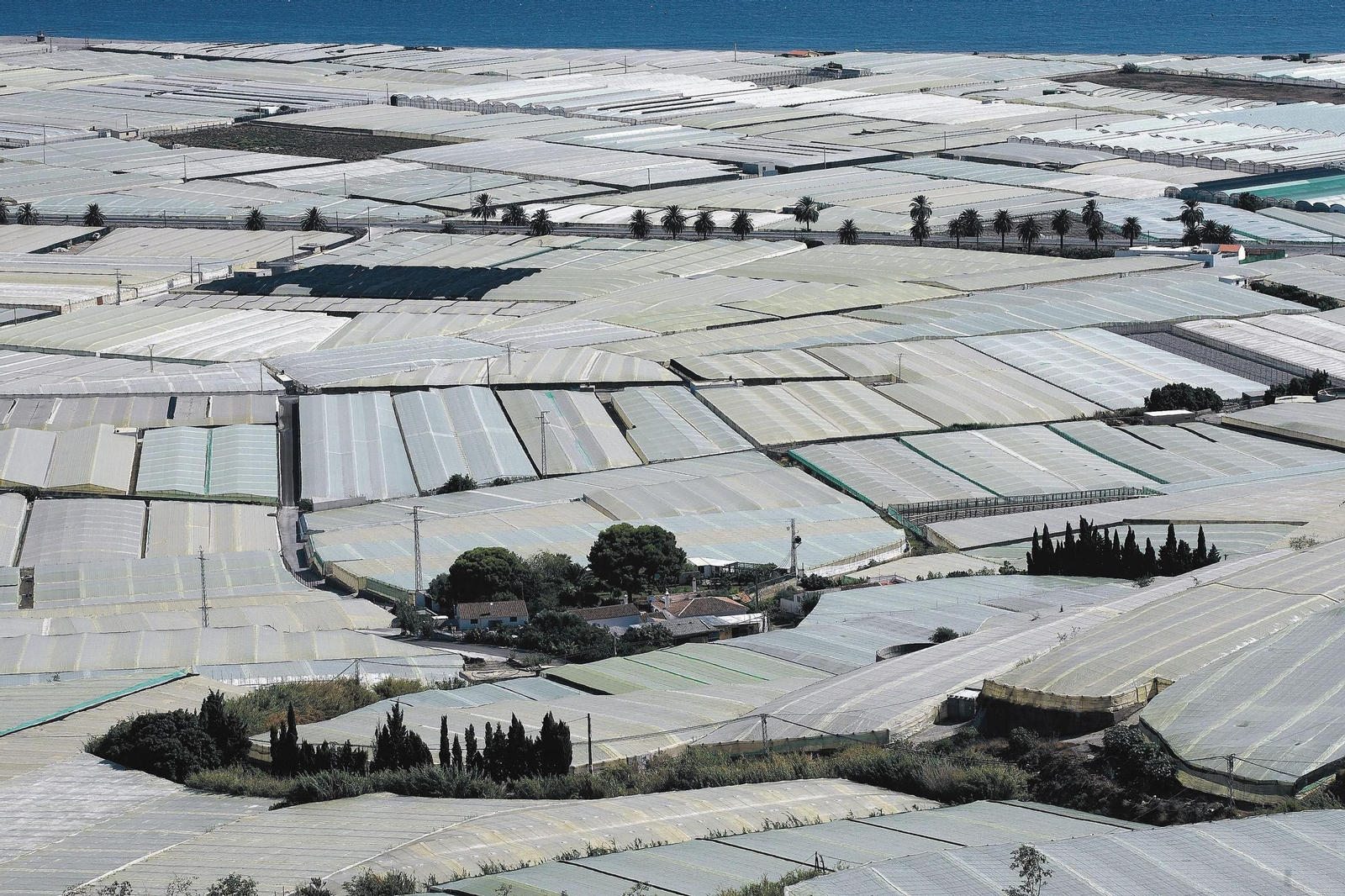 Invernaderos de Almería.