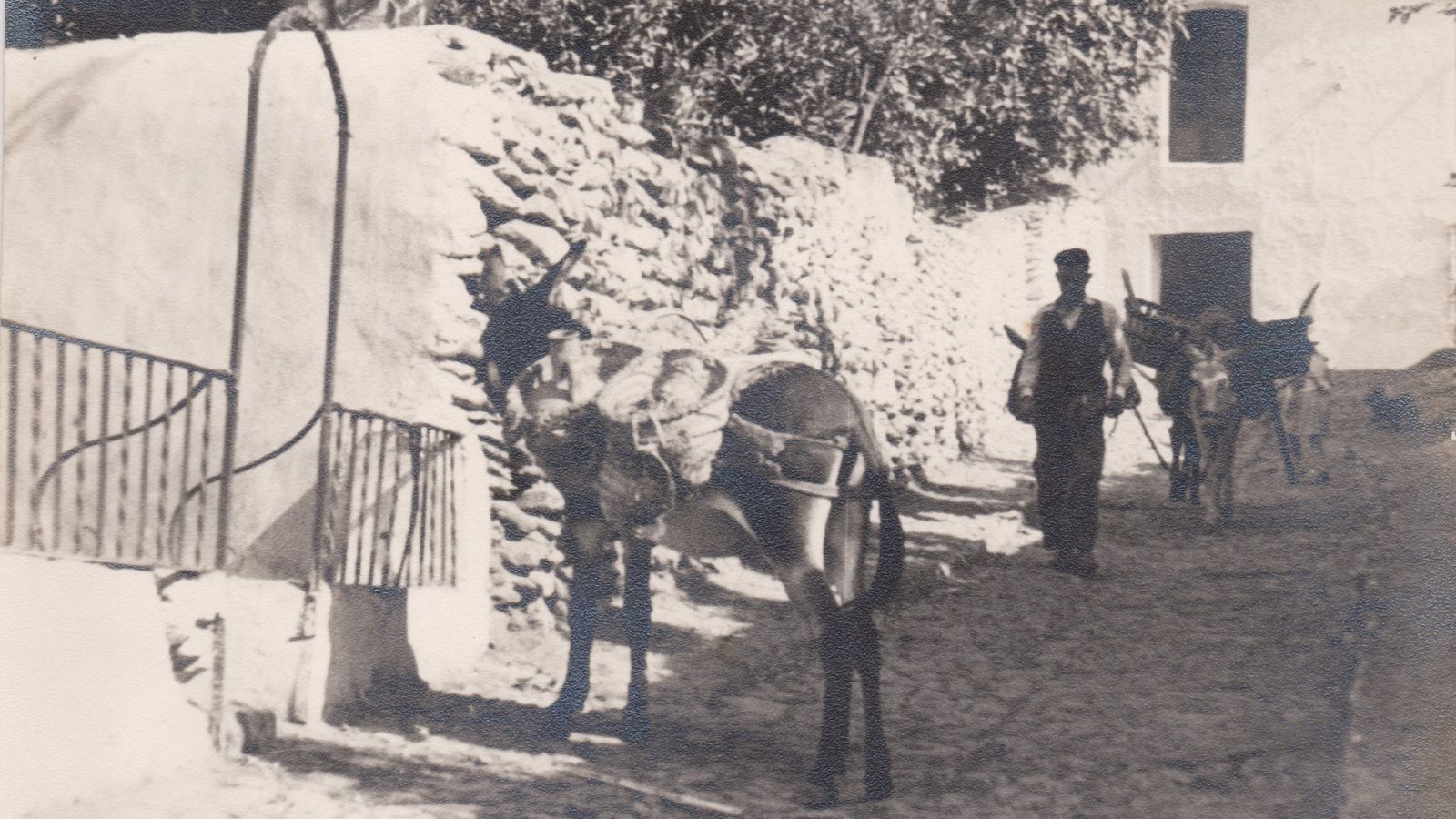 Imagen captada en Alboloduy.