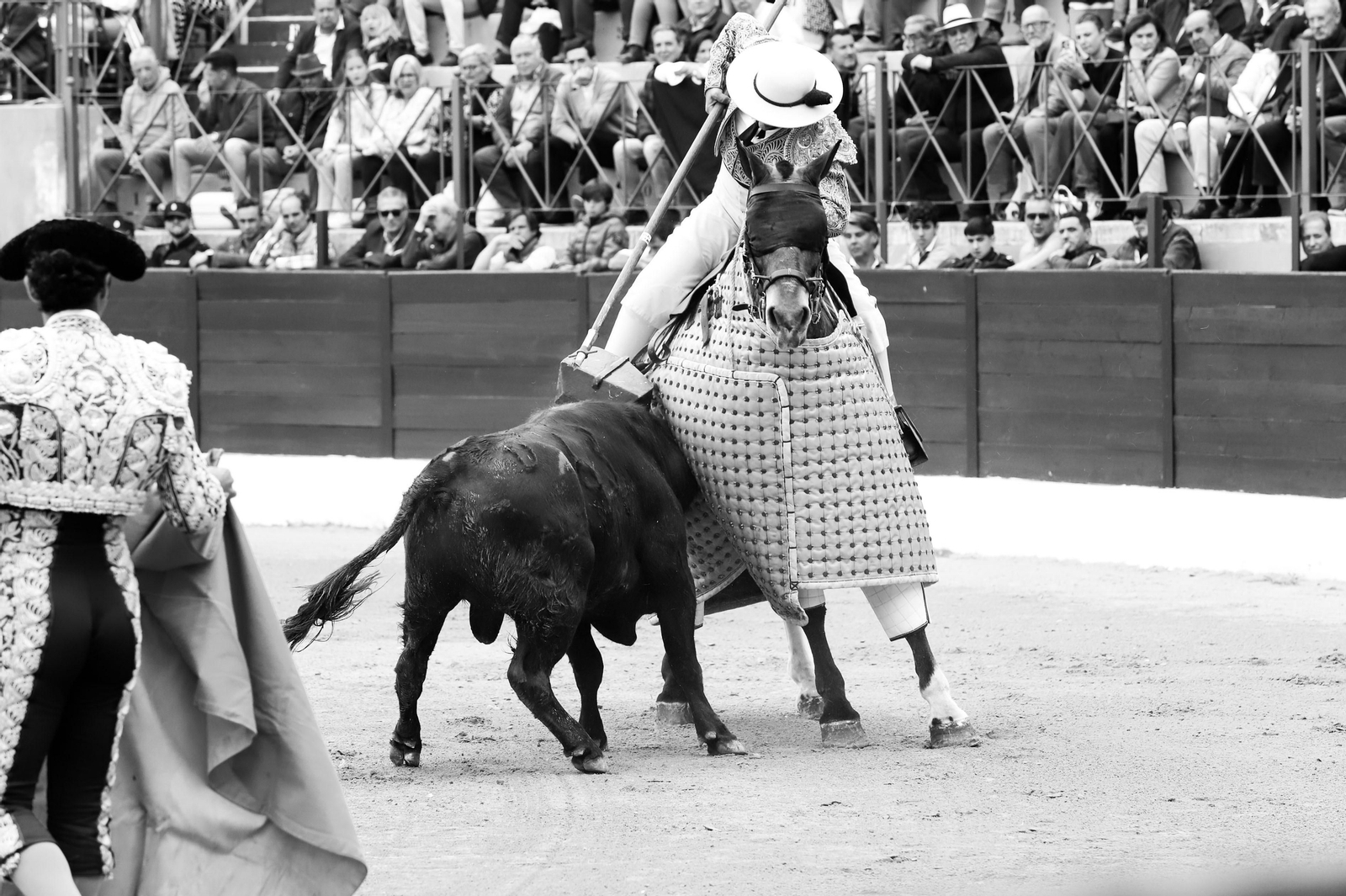 Imágenes de la novillada previa a la Semana Santa en la plaza de toros de La Línea