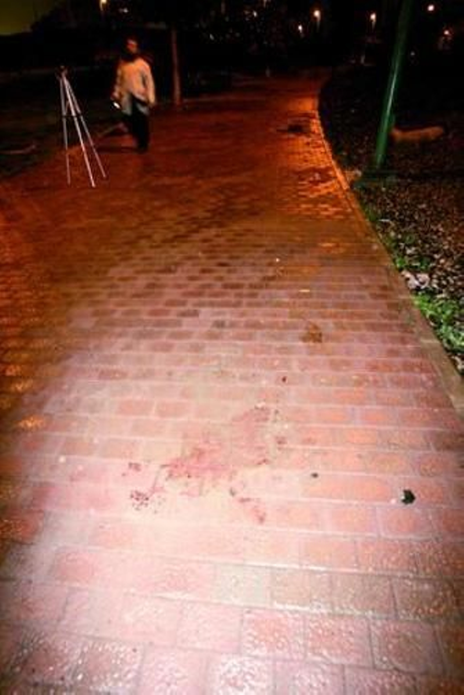 Los hechos ocurrieron en el barrio del Pinar.