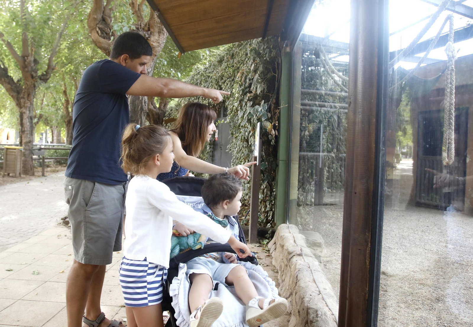 Las imágenes de la reapertura del zoo de Córdoba