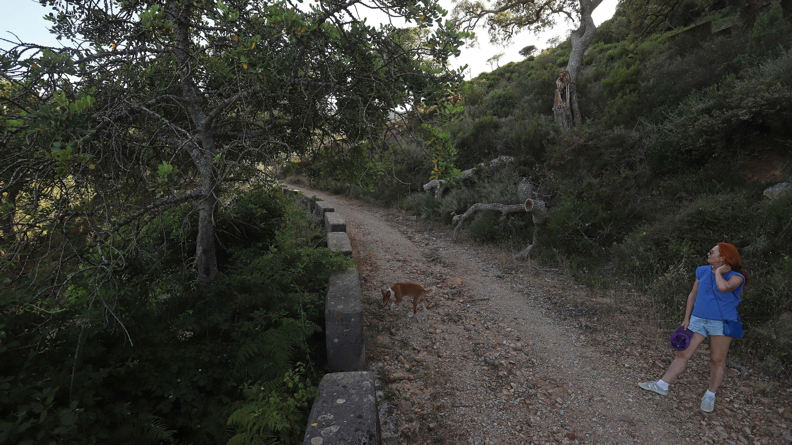 Las mejores fotos de la Senda de los Prisioneros en Algeciras