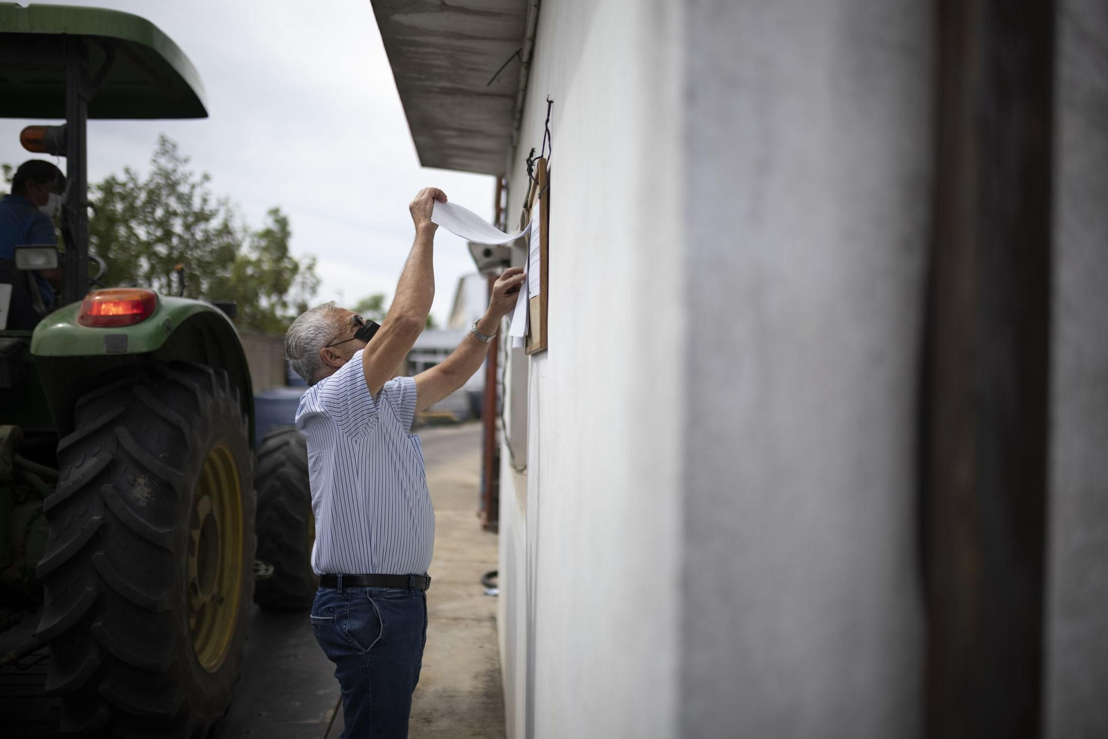 Imágenes de la vendimia en el Condado de Huelva