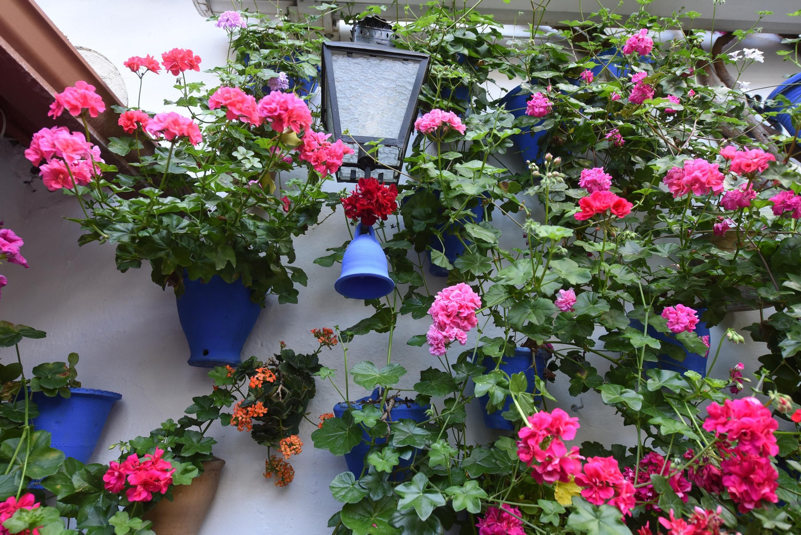 Los Patios de la ruta de San Lorenzo, en imágenes