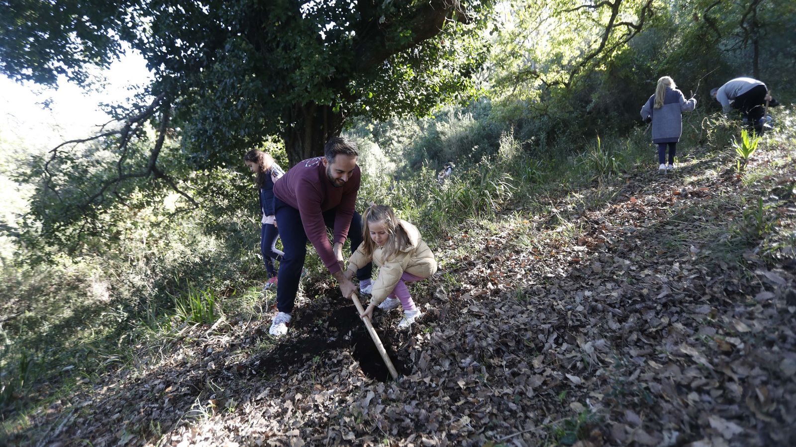 Jornada de reforestación en El Palancar por trabajadores de Acerinox, en imágenes