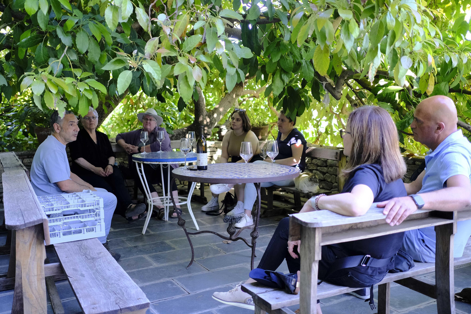 El regreso del turismo extranjero a las bodegas rondeñas, en fotos