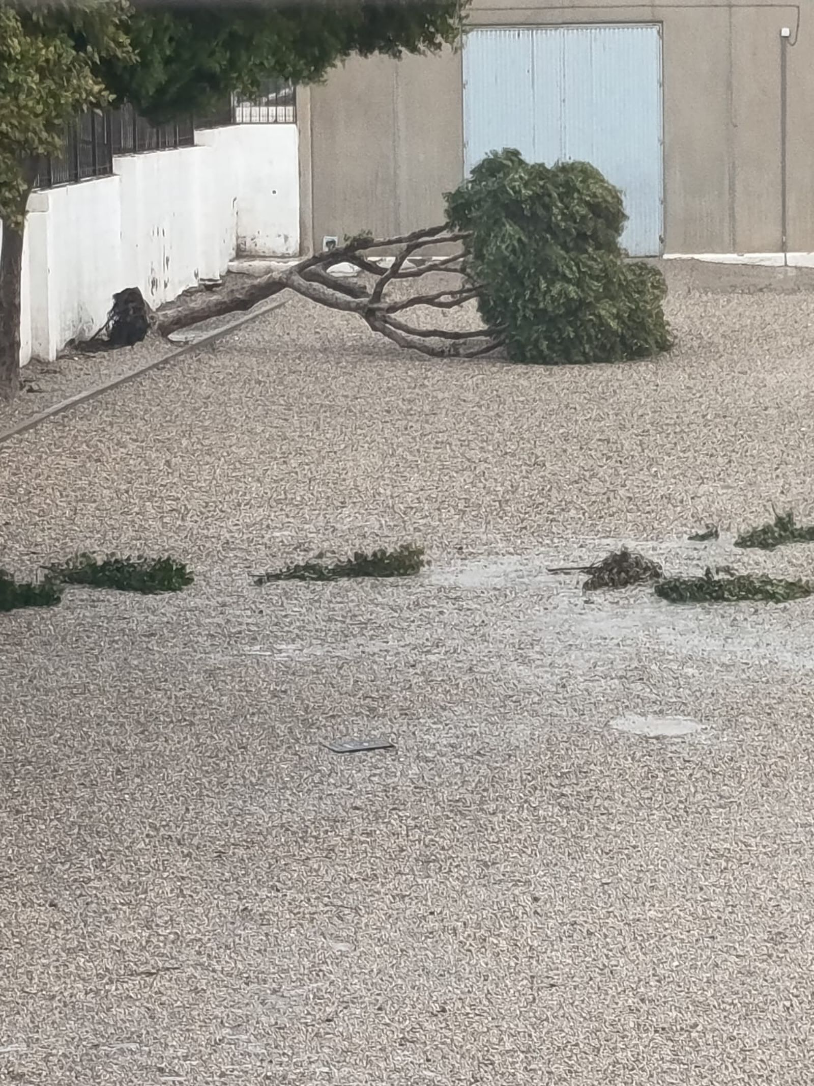 En imágenes: el temporal Kristin mantiene en vilo a toda la provincia de Almería