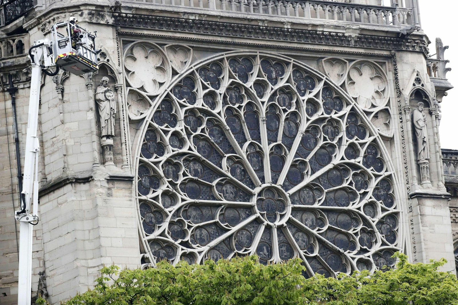 Las imágenes de Notre Dame tras la tragedia